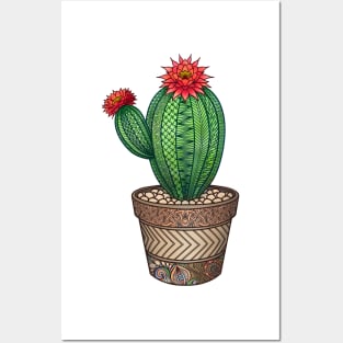 Flowering Cactus zentangle Posters and Art